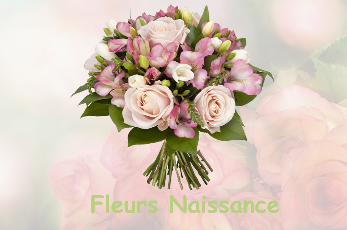 fleurs naissance SAINTE-MARIE-EN-CHAUX